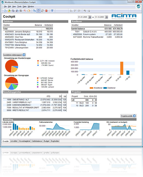Business Intelligence dashboard til Dynamics C5, der giver økonomichefen det daglige overblik